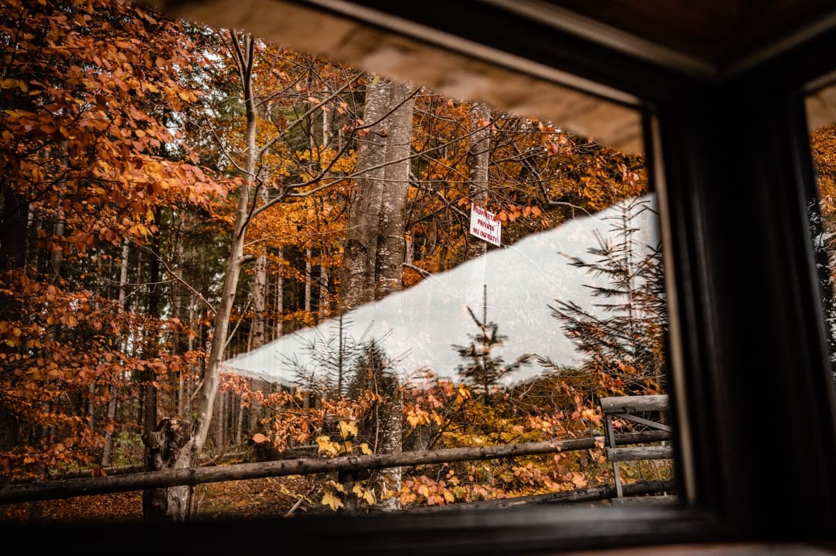 Fotografie de Vlad Pahontu la Cabana Haiducului