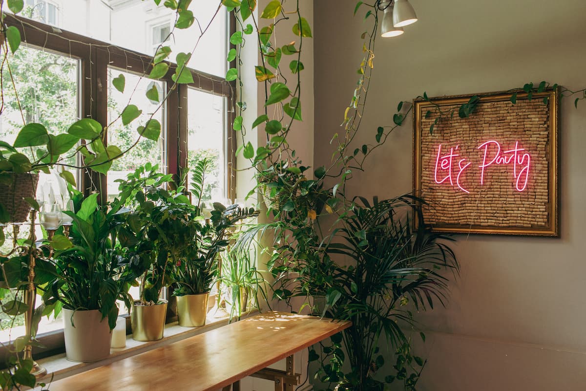 Société Gourmet Event House - locatie pentru nunti in București, București