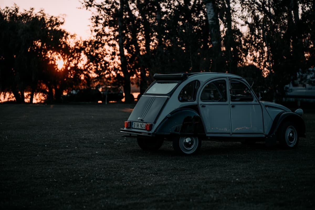 Fotografie de Bacan Alexandru Bogdan la Phoenix Cernica