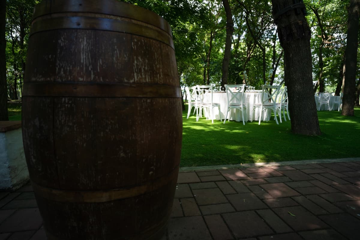 Fotografie de Bacan Alexandru Bogdan la Casa Comana