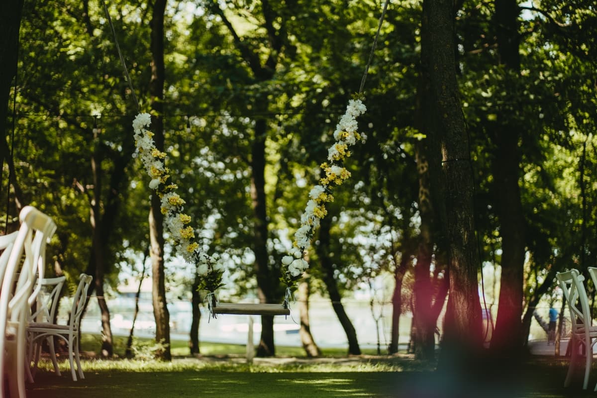 Fotografie de Bacan Alexandru Bogdan la Casa Comana