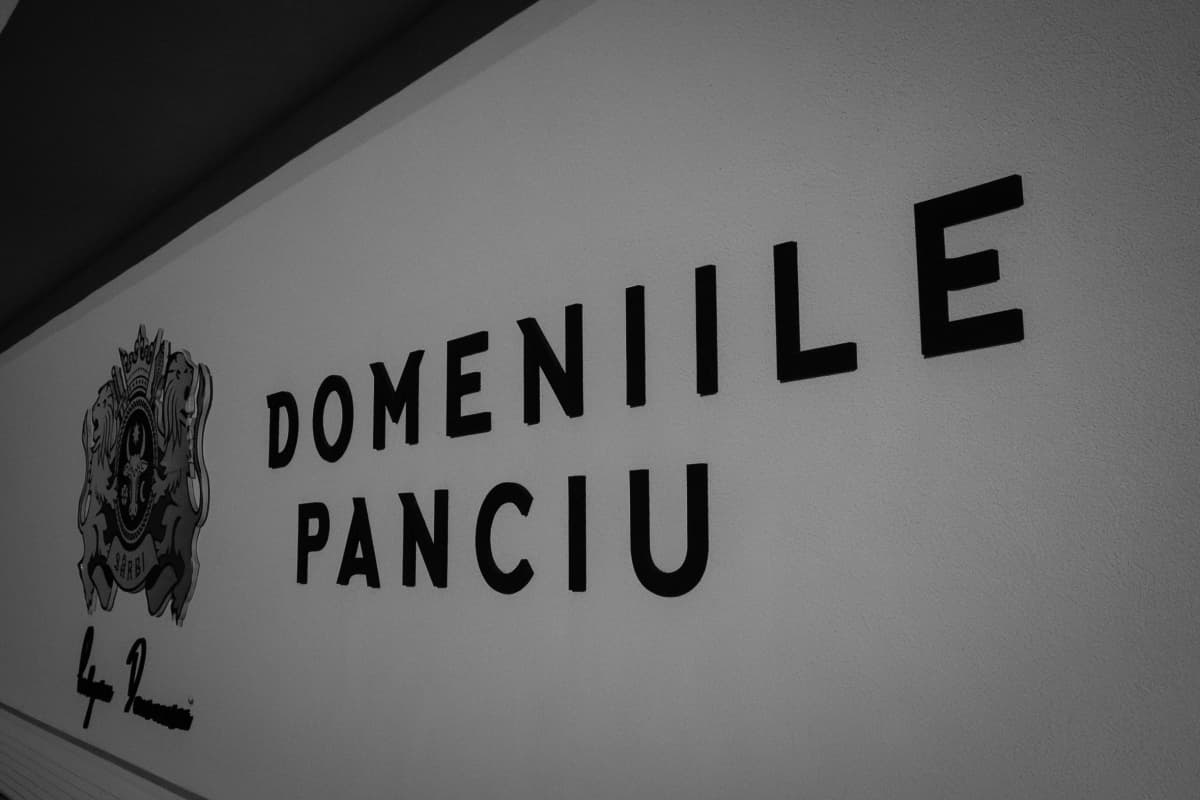 Fotografie de cadre_weddings la Domeniile Panciu