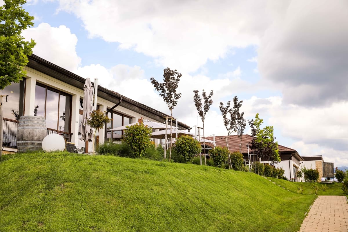 Fotografie de Kelemen Zoltan (Wedding Joy) la Crama Jelna