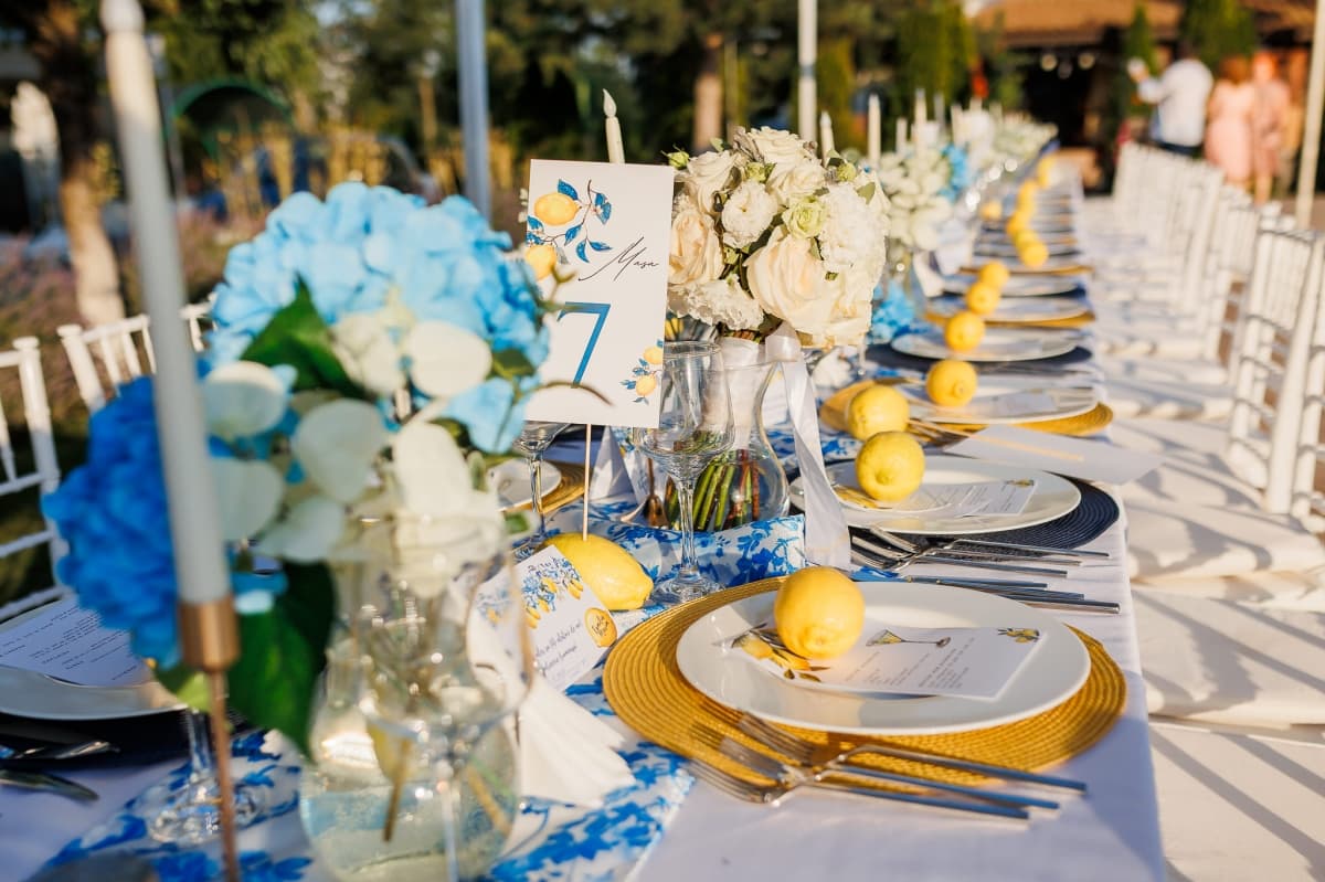 Complex Doi Taurasi - locatie pentru nunti in Afumați, Ilfov