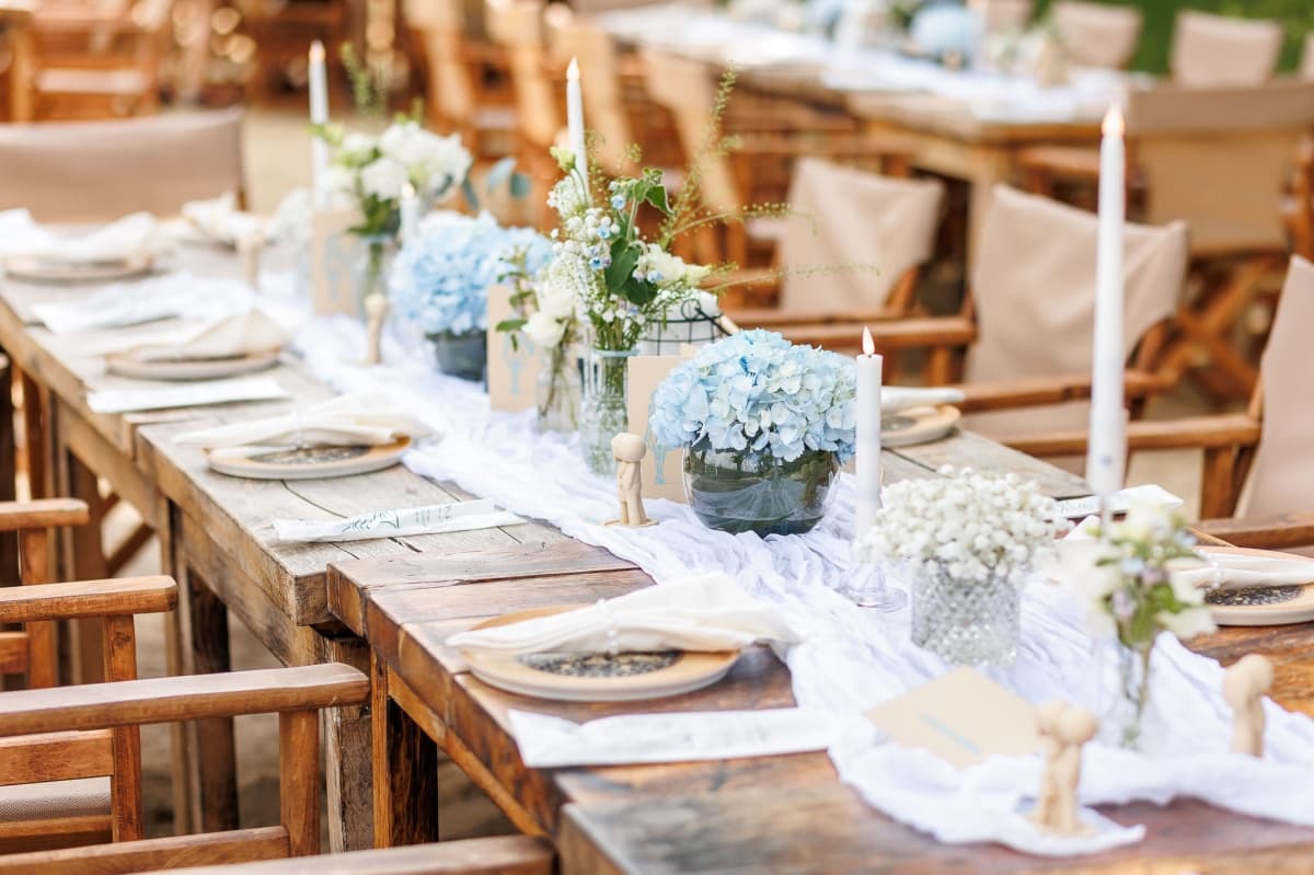 Fotografie de Lens of Alex la Indigen