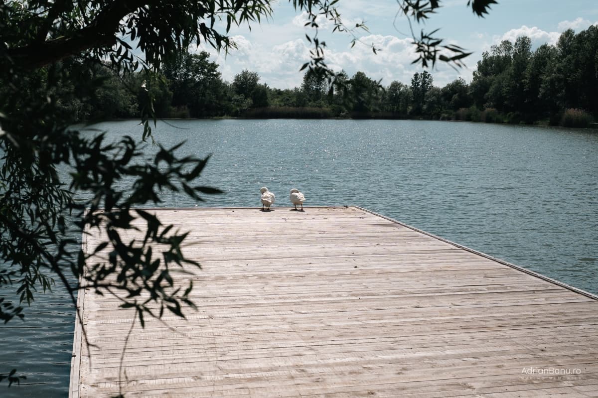 Fotografie de Adrian Banu la WOW Hambar 