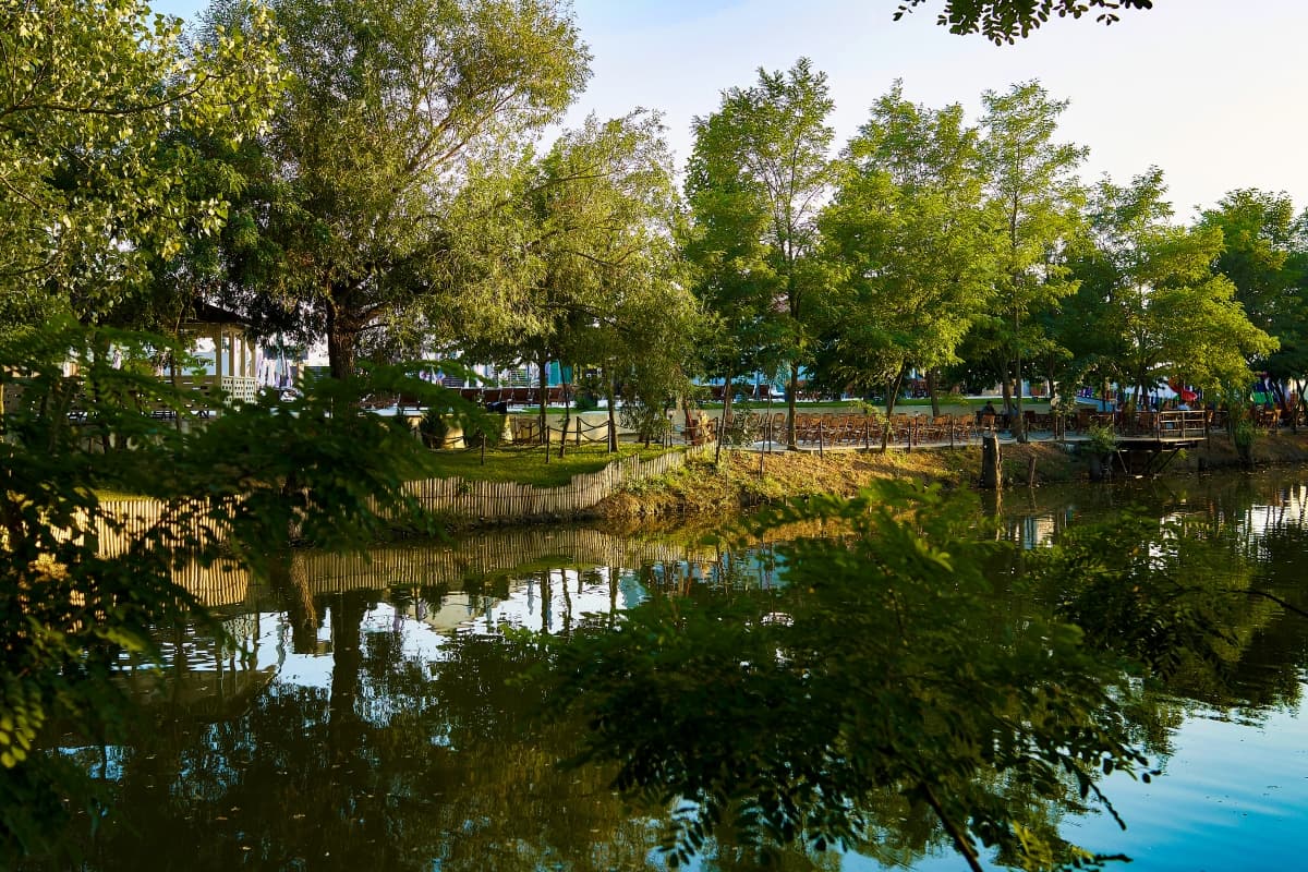 Fotografie de Marius Marcoci la Zanzibar Pub