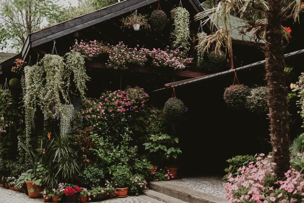 Fotografie de Frunza Photo&amp;Video la Restaurant Perla 