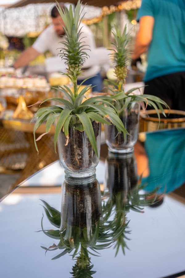 Fotografie de Fotolense la Lebada Neagra Resort