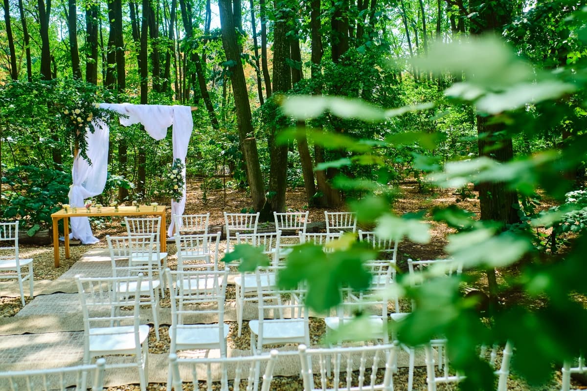 Fotografie de Ionut Draghiceanu la BOHO Forest