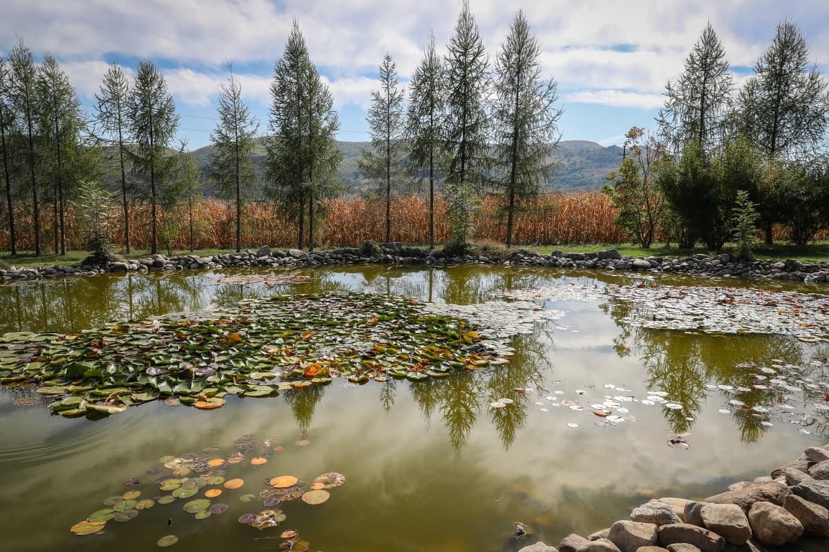 Fotografie de Bucur Ionut Rares la Conacul Secuiesc