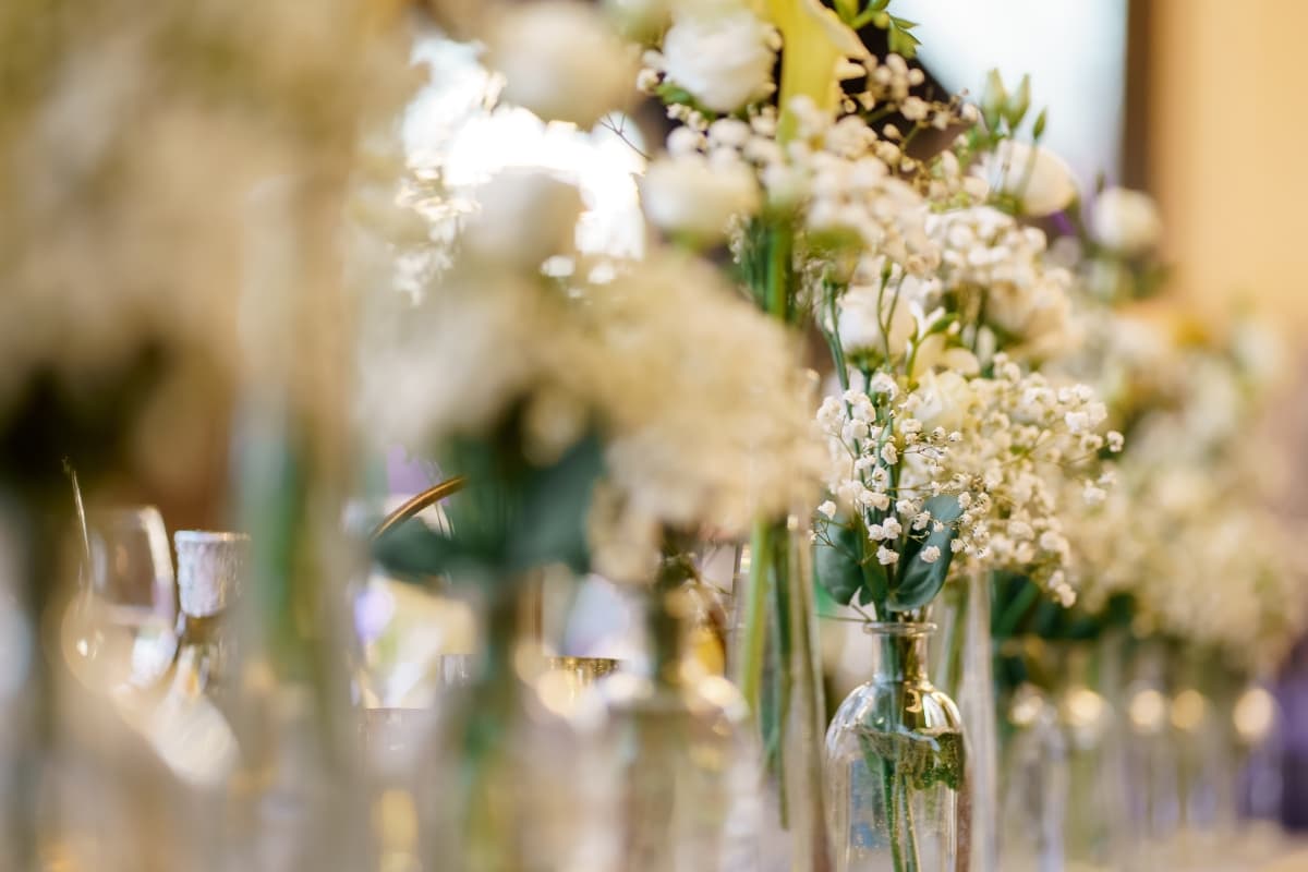 Fotografie de Daniel V. Dumitrache  la Casa Lazaroiu