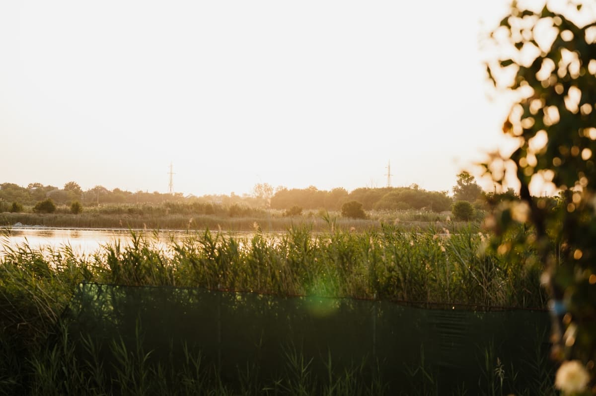 Fotografie de Alexandra Zamfirescu Fotograf la Evergreen events Amara 