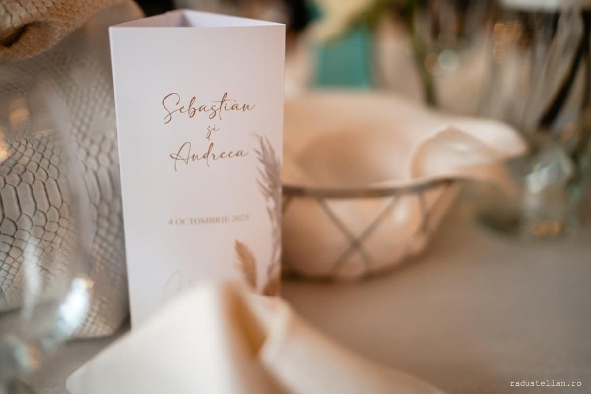 Fotografie de Radu Stelian la Boema Ballroom