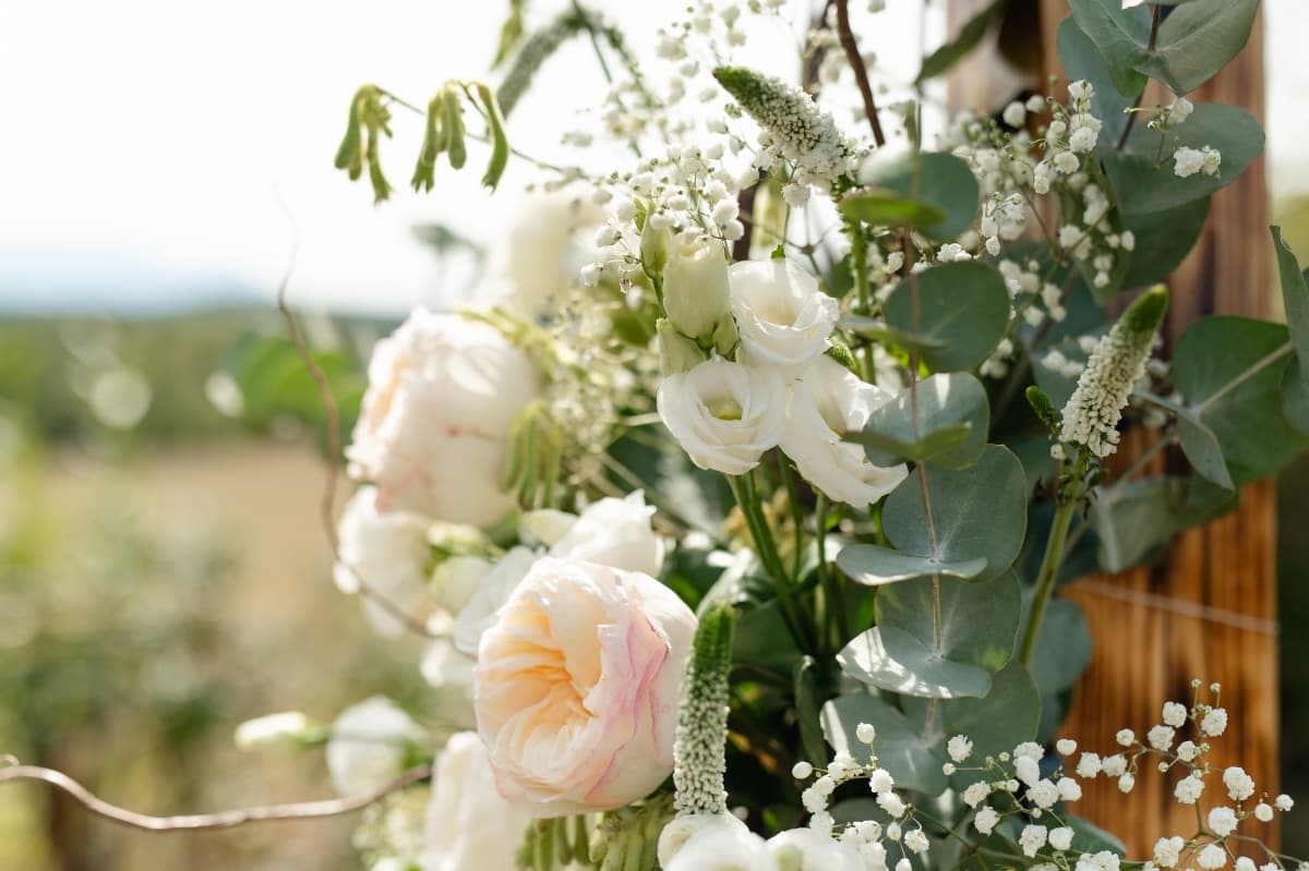 Fotografie de Live Love Laugh - Dana Sacalov la Wolkendorf Bio Hotel &amp; Spa