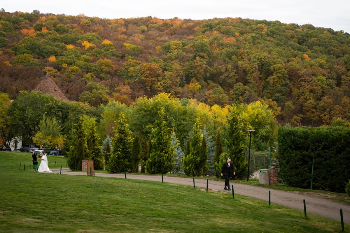 Fotografie de TILO la Sun Garden 