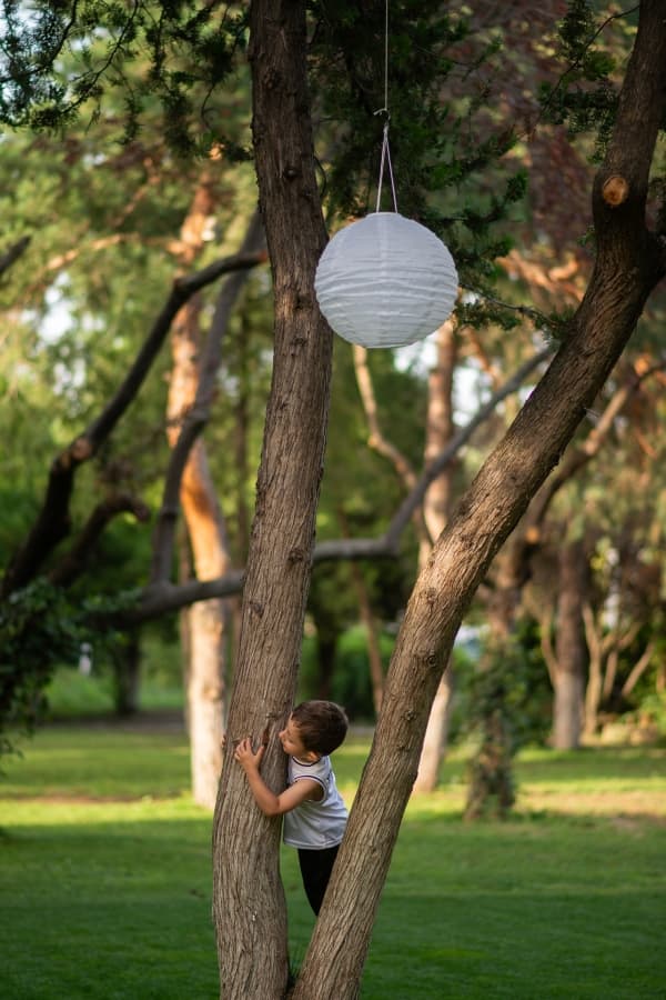 Fotografie de TILO la Restaurant Toni's