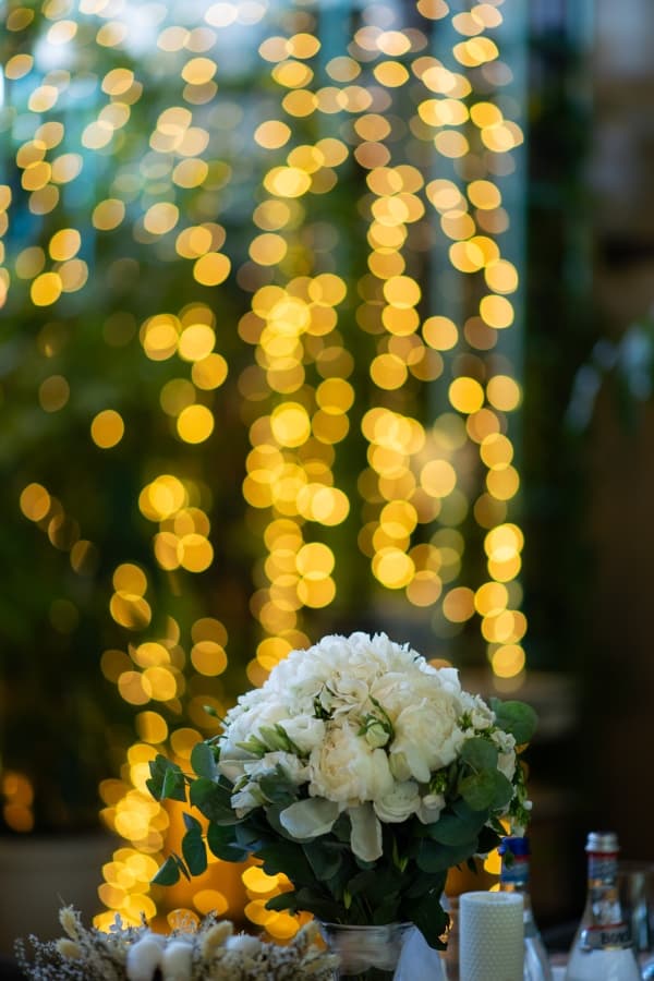 Fotografie de TILO la Restaurant Pescarus