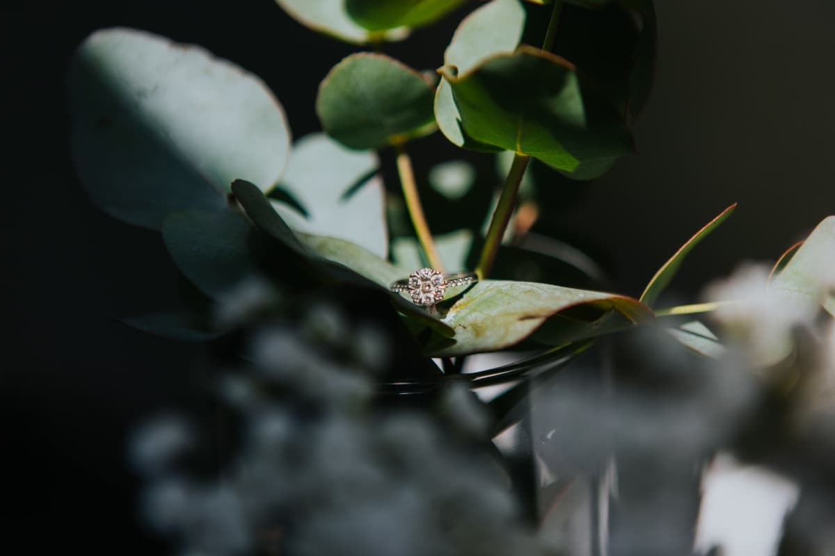 Fotografie de Besenyei Norbert la Butoiul Sasului