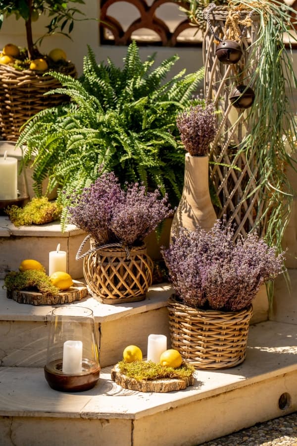 Fotografie de Alexandru Boca la Domeniul Manasia