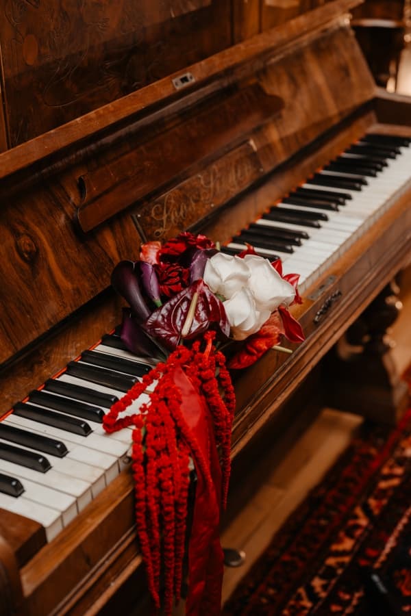 Fotografie de Adrian Vișovan la Conac Polizu