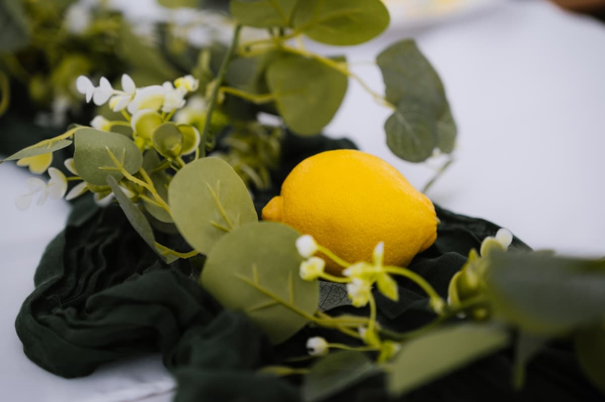 Sunset By The Farm - locatie pentru nunti in Piatra Neamț, Neamț