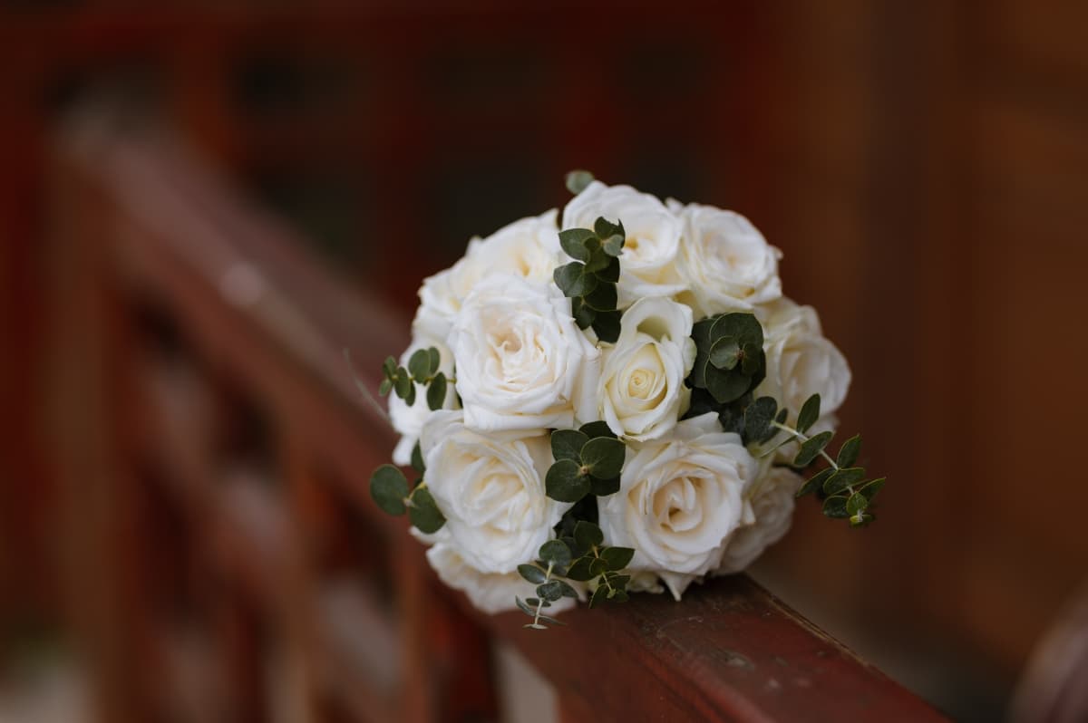 Fotografie de Trifescu Alexandru (VIATA IN FOTOGRAFII) la Sunset By The Farm