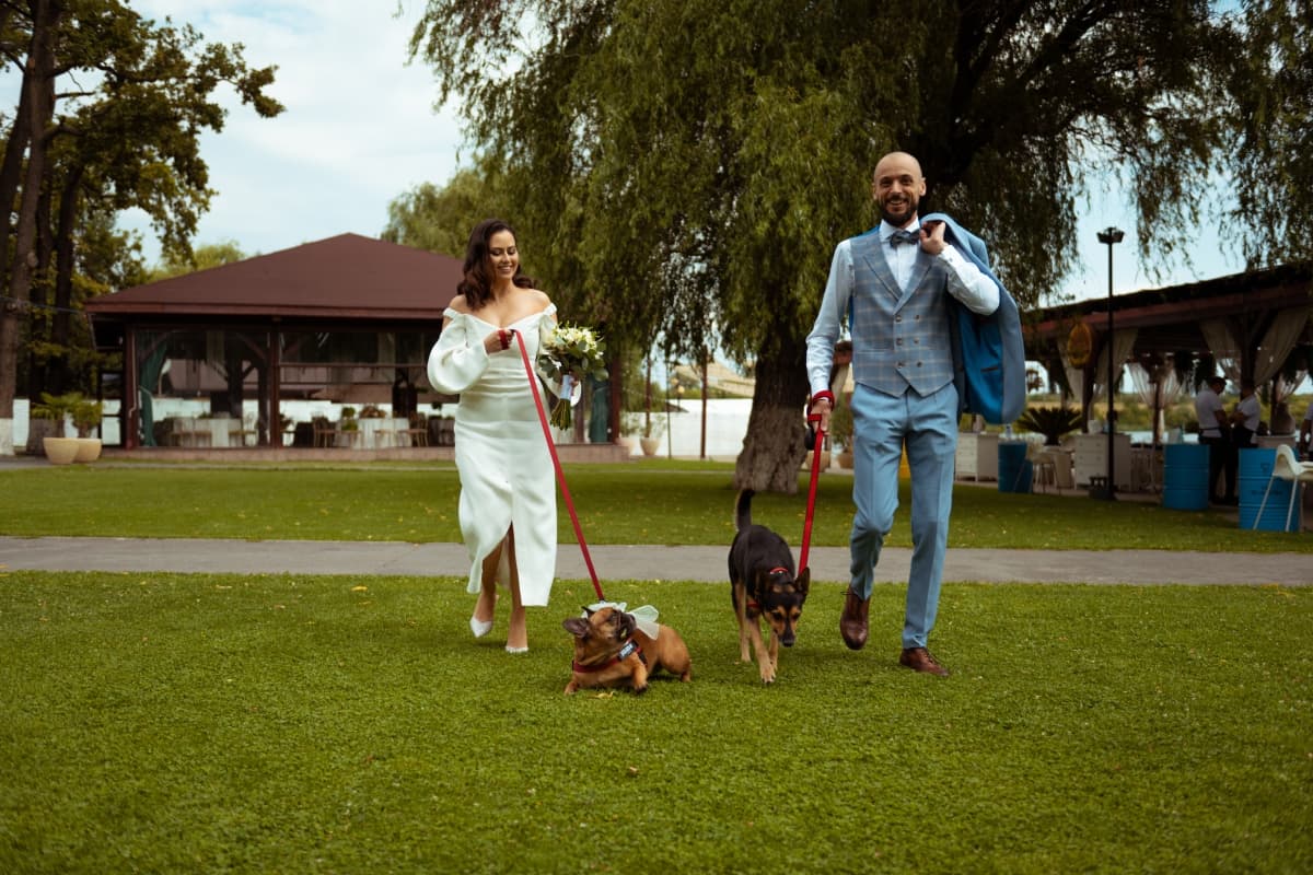 Fotografie de Morarii Events la Phoenix Cernica