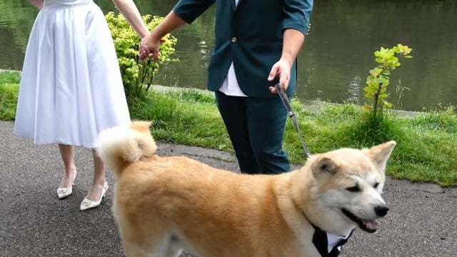 Videoclip de Artiv Wedding Films la RustiQ Garden