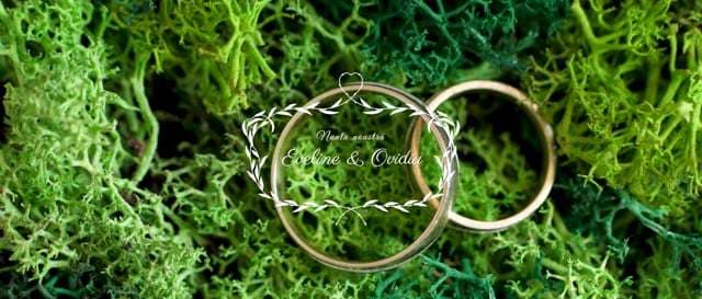 Videoclip de Nicolae Sevastre la Magic Place Events - Grant