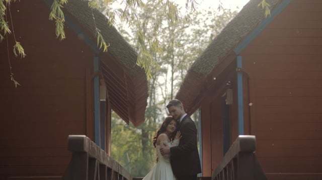 Videoclip de Westfalia Films la Gold Ballroom