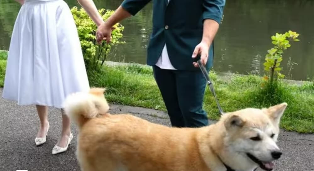 Ecaterina & Adrian - Fotografii de Artiv Wedding Films