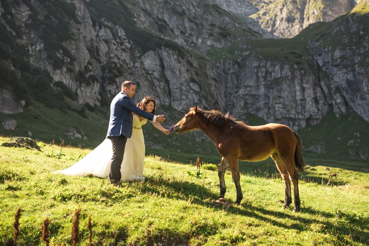 Fotografie de Dumitru Robert Photography la Cabana Malaiesti