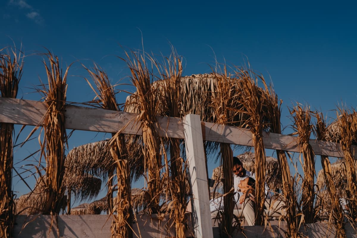 Fotografie de Wolves and Memories la Mamaia