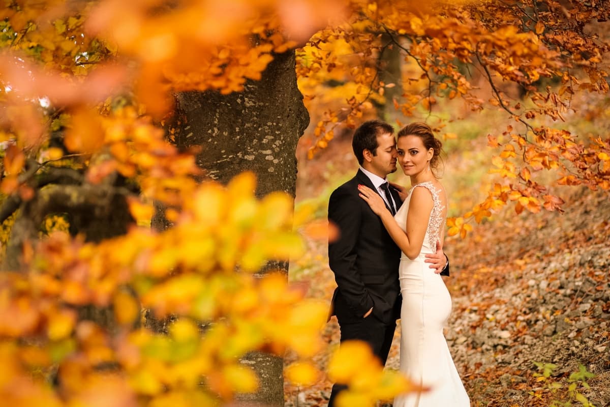 Fotografie de Your Story la Coltesti