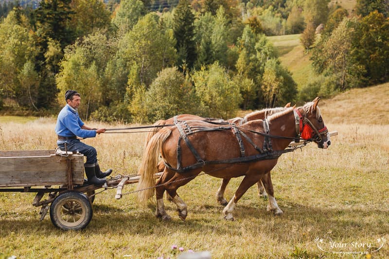 Fotografie de Your Story la Valea Draganului