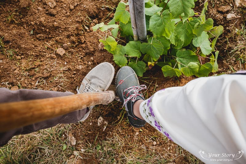 Fotografie de Your Story la Valea Draganului