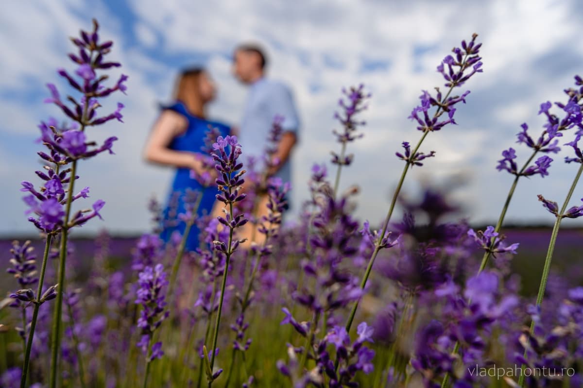 Fotografie de Vlad Pahontu la Gradina de lavanda