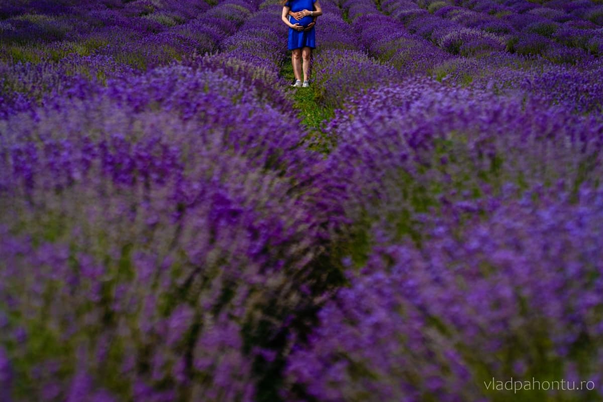 Fotografie de Vlad Pahontu la Gradina de lavanda