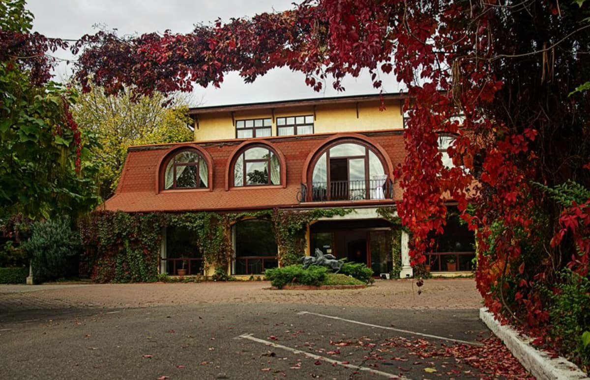 Fotografie de 7ARTs for Wedding - Foto & Video la Mc Monis