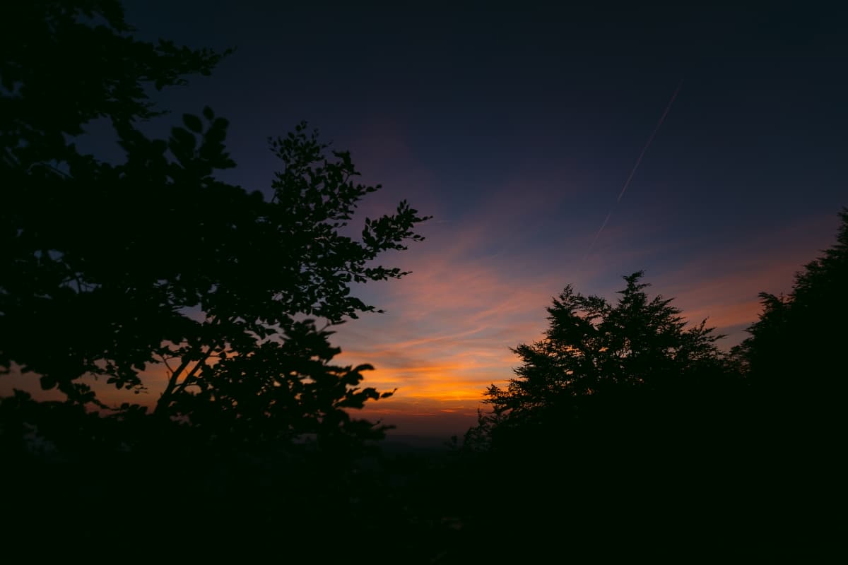 Fotografie de JIVAN Weddings la Valiug