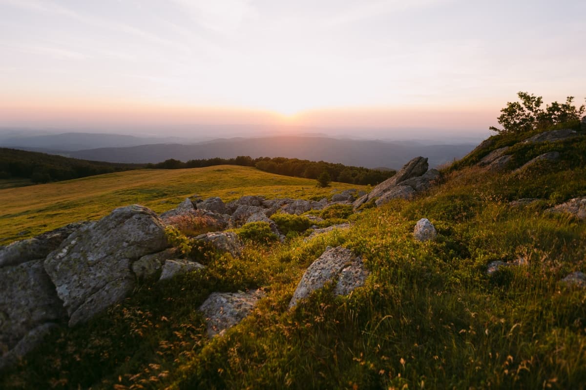 Fotografie de JIVAN Weddings la Valiug