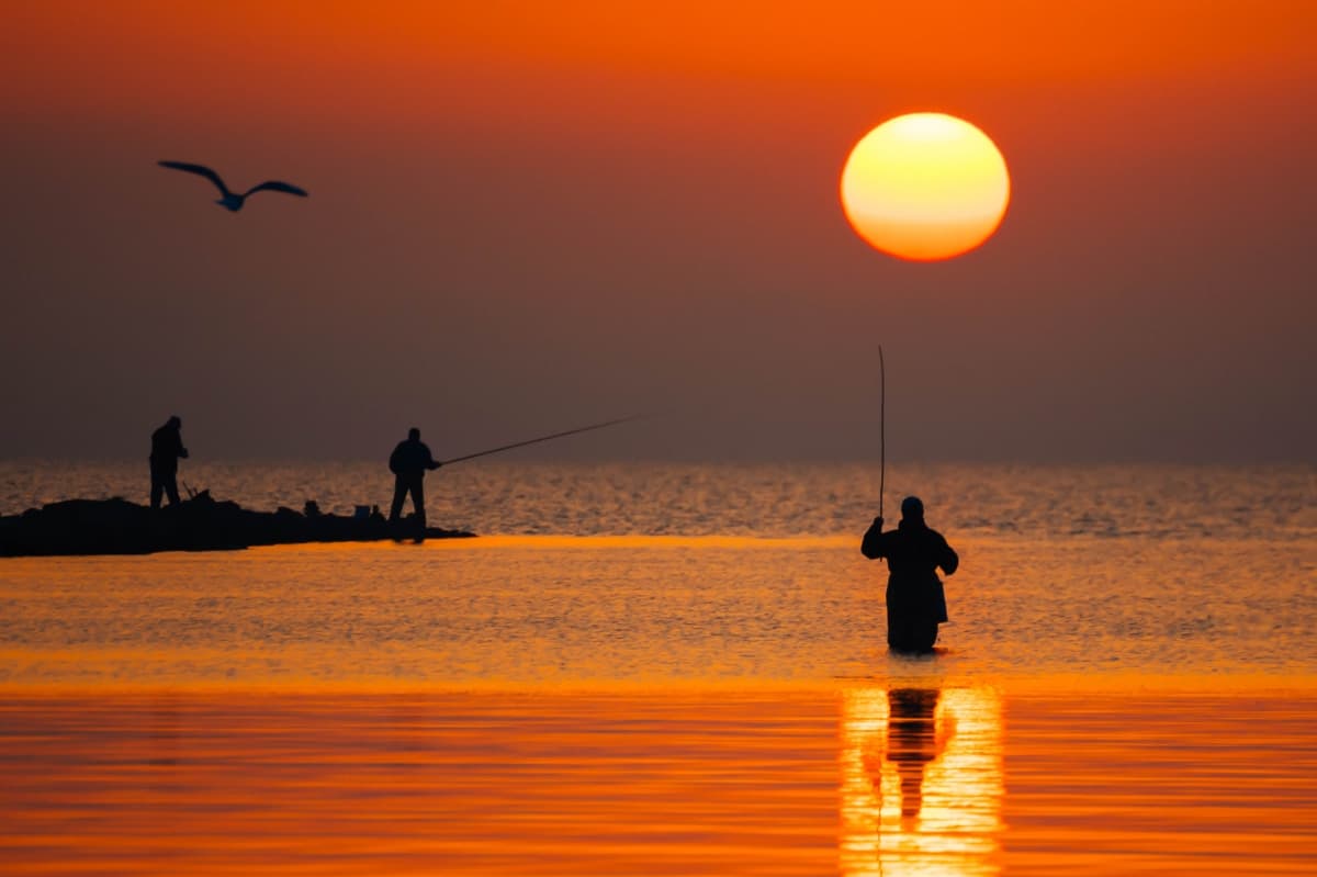 Fotografie de Micu Daniel la Lacul Razelm