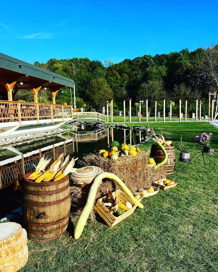 Fotografie de Sabin Florin la Ecvestria Ranch