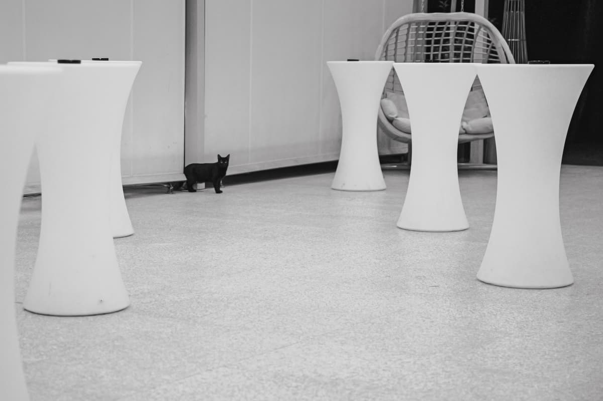 Fotografie de ZOOMER STUDIO la Hotel Crowne Plaza Bucharest