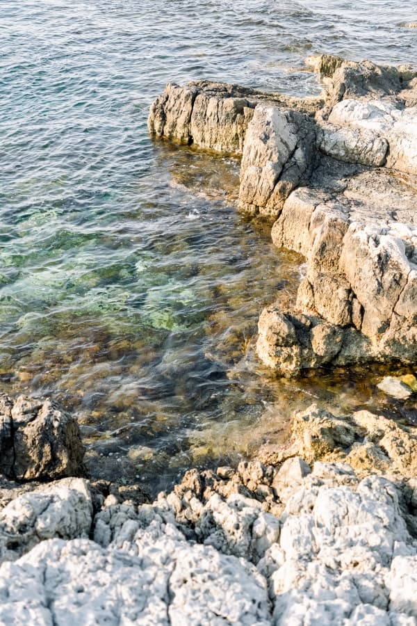 Fotografie de The Bercans la Cap d'Antibes